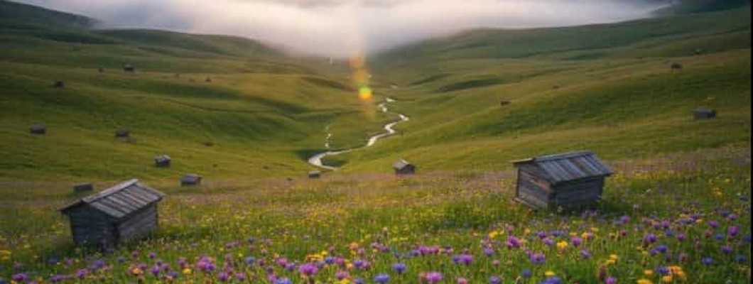 Anzer Yaylası ile Meşhur Olan Şehrimiz Rize